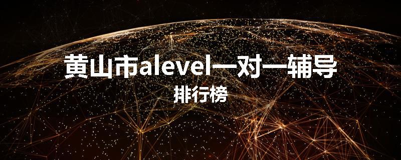 黄山市alevel一对一辅导排行榜