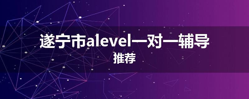 遂宁市alevel一对一辅导推荐
