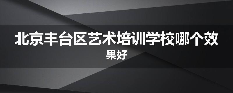 北京丰台区艺术培训学校哪个效果好