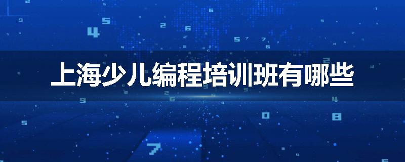 上海少儿编程培训班有哪些