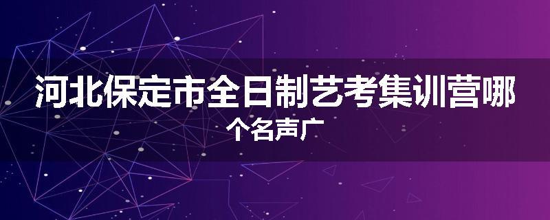 河北保定市全日制艺考集训营哪个名声广