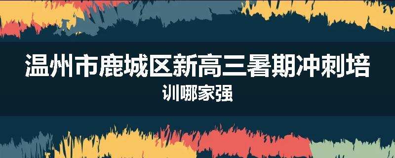 温州市鹿城区新高三暑期冲刺培训哪家强