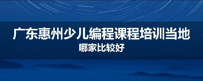 广东惠州少儿编程课程培训当地哪家比较好