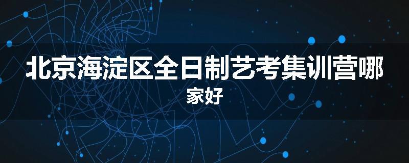 北京海淀区全日制艺考集训营哪家好