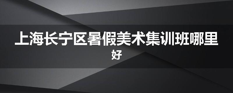 上海长宁区暑假美术集训班哪里好