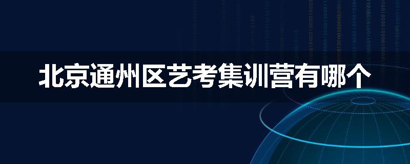 北京通州区艺考集训营有哪个
