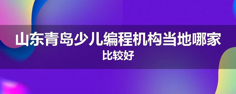 山东青岛少儿编程机构当地哪家比较好