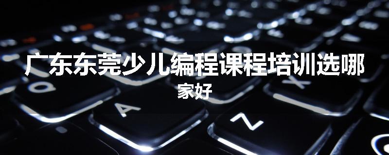广东东莞少儿编程课程培训选哪家好