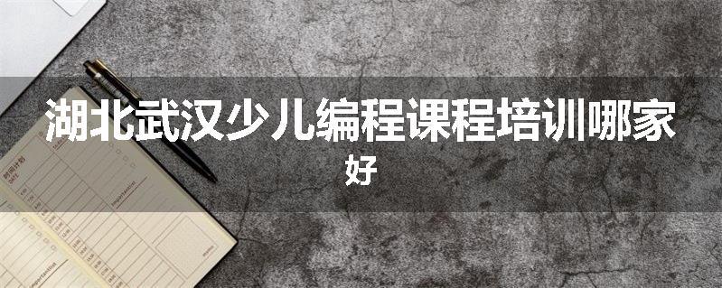湖北武汉少儿编程课程培训哪家好