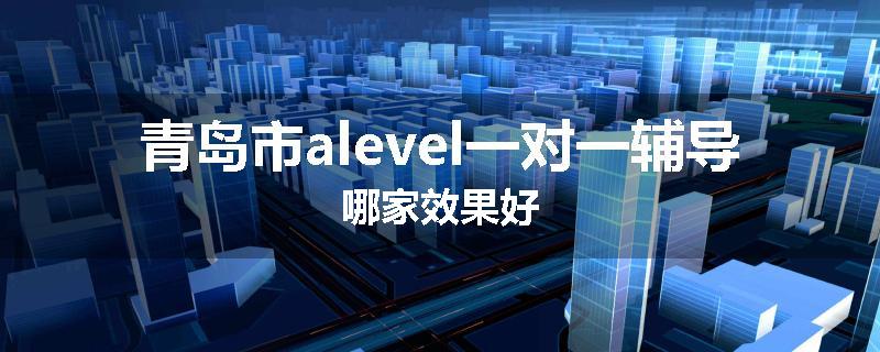 青岛市alevel一对一辅导哪家效果好