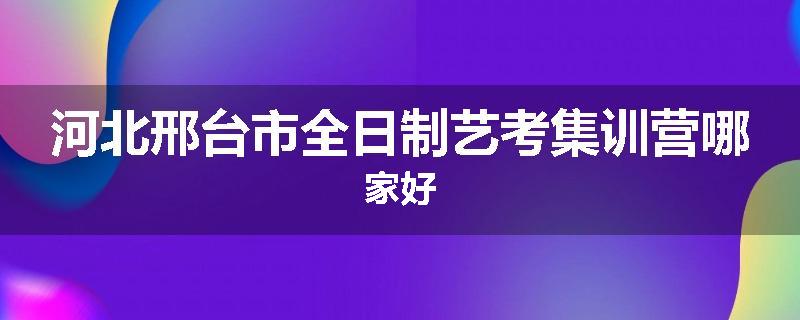河北邢台市全日制艺考集训营哪家好