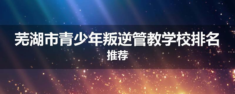芜湖市青少年叛逆管教学校排名推荐