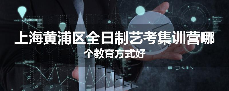 上海黄浦区全日制艺考集训营哪个教育方式好