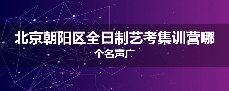 北京朝阳区全日制艺考集训营哪个名声广