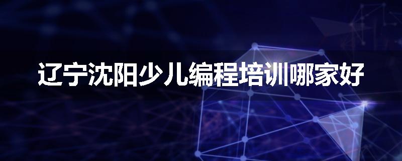 辽宁沈阳少儿编程培训哪家好