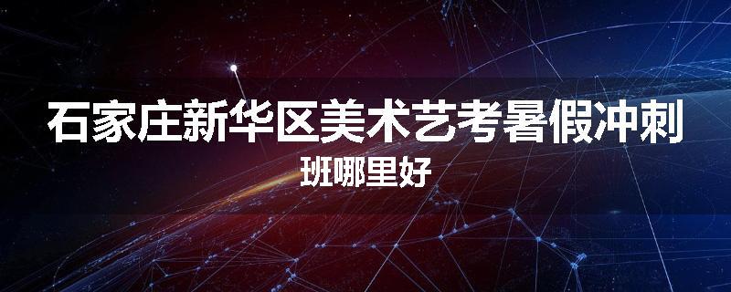 石家庄新华区美术艺考暑假冲刺班哪里好