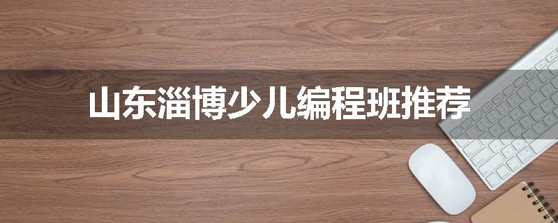 山东淄博少儿编程班推荐