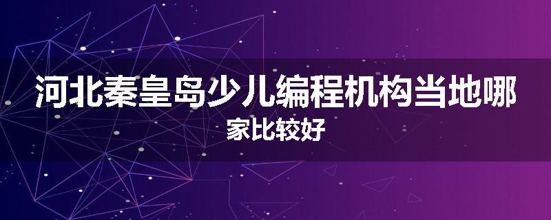 河北秦皇岛少儿编程机构当地哪家比较好