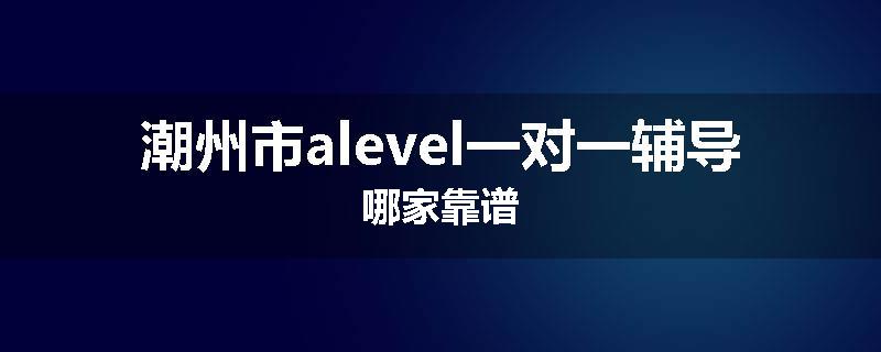 潮州市alevel一对一辅导哪家靠谱