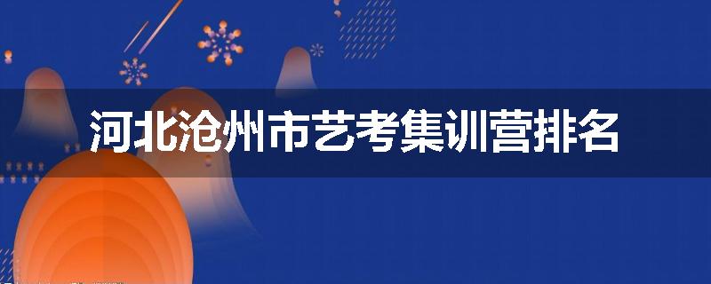 河北沧州市艺考集训营排名