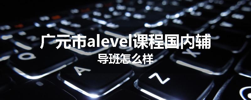 广元市alevel课程国内辅导班怎么样