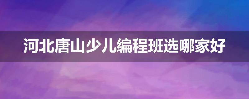 河北唐山少儿编程班选哪家好