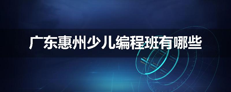 广东惠州少儿编程班有哪些