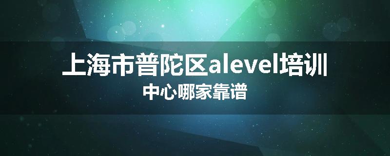 上海市普陀区alevel培训中心哪家靠谱