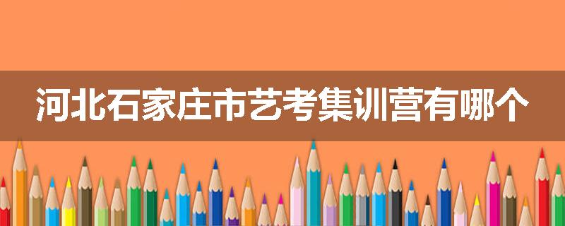 河北石家庄市艺考集训营有哪个