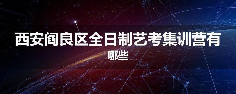 西安阎良区全日制艺考集训营有哪些