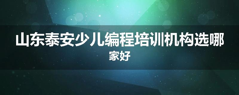山东泰安少儿编程培训机构选哪家好