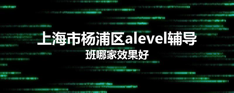 上海市杨浦区alevel辅导班哪家效果好