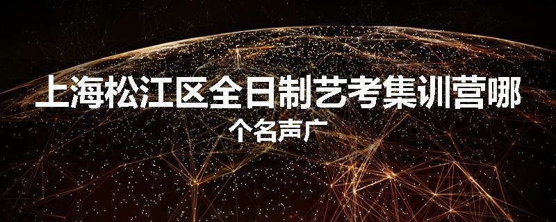 上海松江区全日制艺考集训营哪个名声广