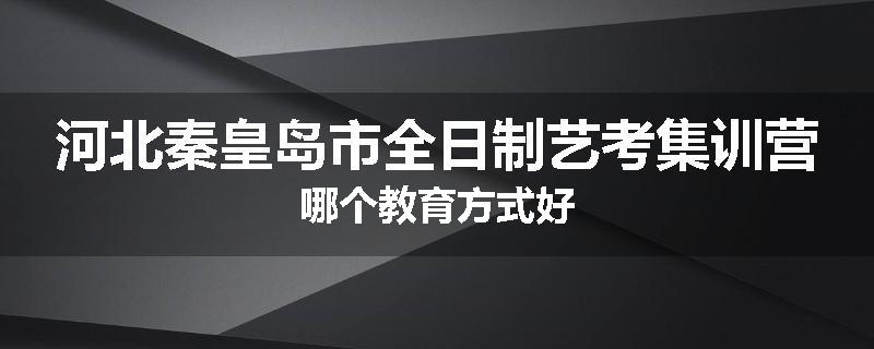 河北秦皇岛市全日制艺考集训营哪个教育方式好