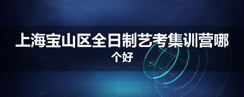 上海宝山区全日制艺考集训营哪个好