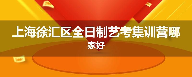 上海徐汇区全日制艺考集训营哪家好