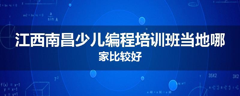 江西南昌少儿编程培训班当地哪家比较好