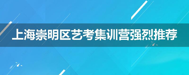 上海崇明区艺考集训营强烈推荐