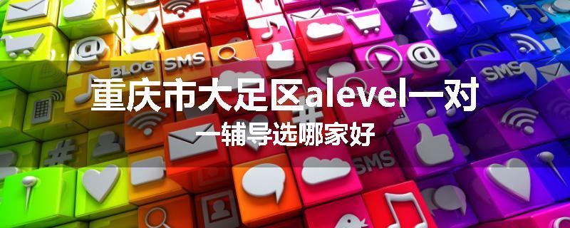 重庆市大足区alevel一对一辅导选哪家好
