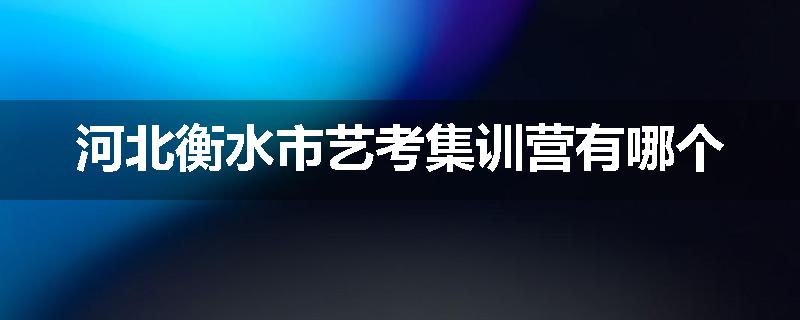河北衡水市艺考集训营有哪个