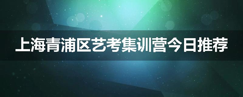 上海青浦区艺考集训营今日推荐