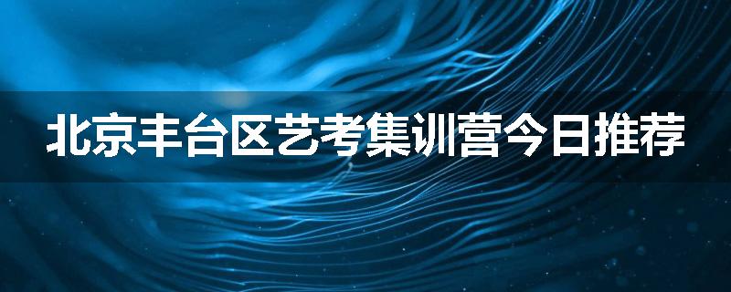 北京丰台区艺考集训营今日推荐