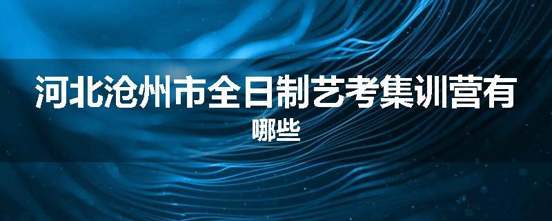 河北沧州市全日制艺考集训营有哪些