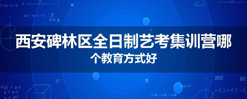 西安碑林区全日制艺考集训营哪个教育方式好