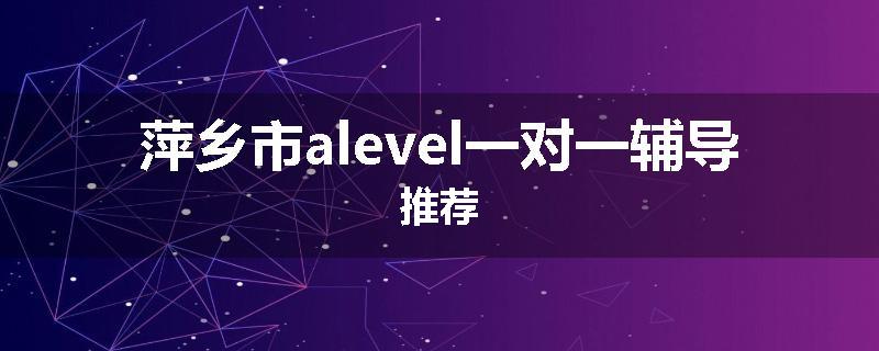 萍乡市alevel一对一辅导推荐