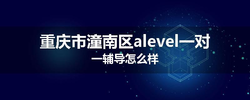 重庆市潼南区alevel一对一辅导怎么样