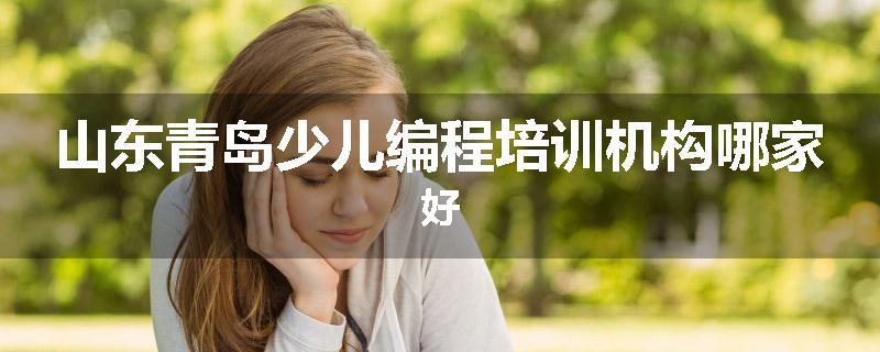 山东青岛少儿编程培训机构哪家好