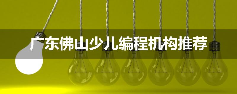 广东佛山少儿编程机构推荐