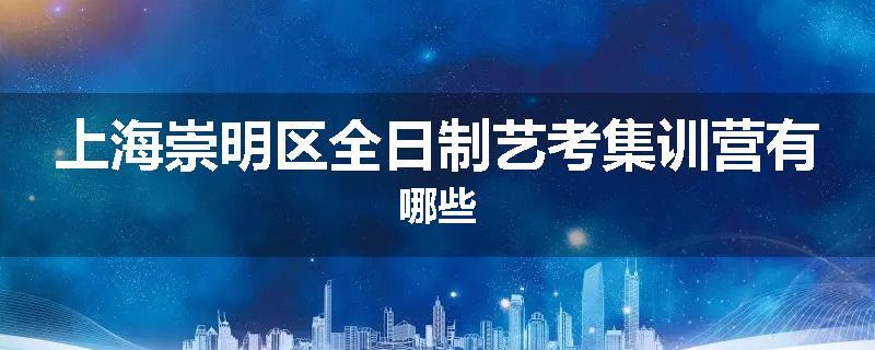 上海崇明区全日制艺考集训营有哪些