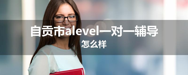 自贡市alevel一对一辅导怎么样